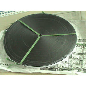 Intumescebt Fire Seal / Intumescent Fire Seal Strip avec bande de 3 m / 20 x
